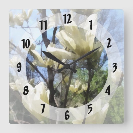 Witte Magnolia Branches Vierkante Klok (Voorkant)