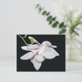 Witte Magnolia Briefkaart (Staand voorkant)