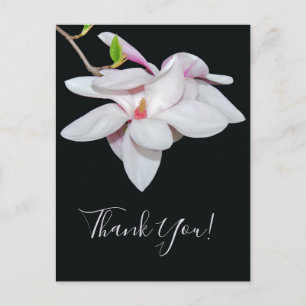 Witte Magnolia Briefkaart