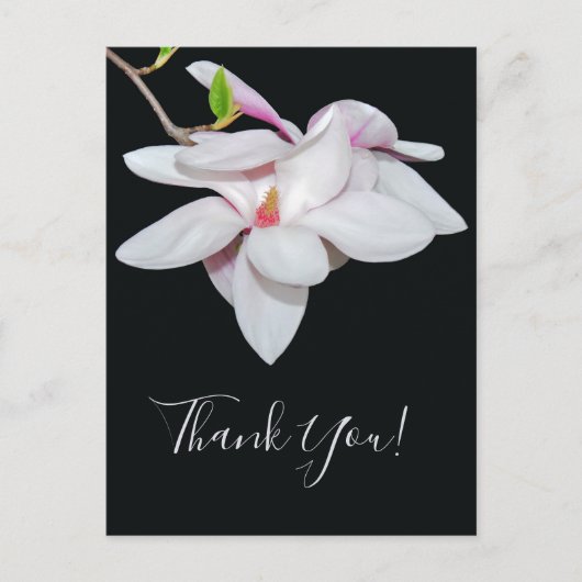 Witte Magnolia Briefkaart (Voorkant)