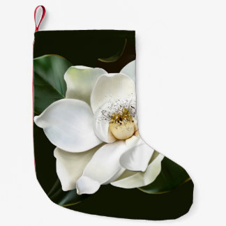 Witte Magnolia Close-up Groene achtergrond Kleine Kerstsok