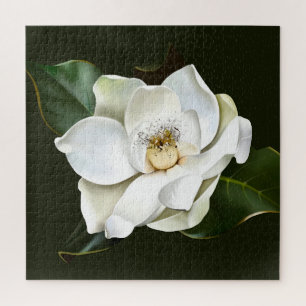 Witte Magnolia Close-up Groene achtergrond Legpuzzel