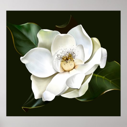 Witte Magnolia Close-up Groene achtergrond Poster (Voorkant)