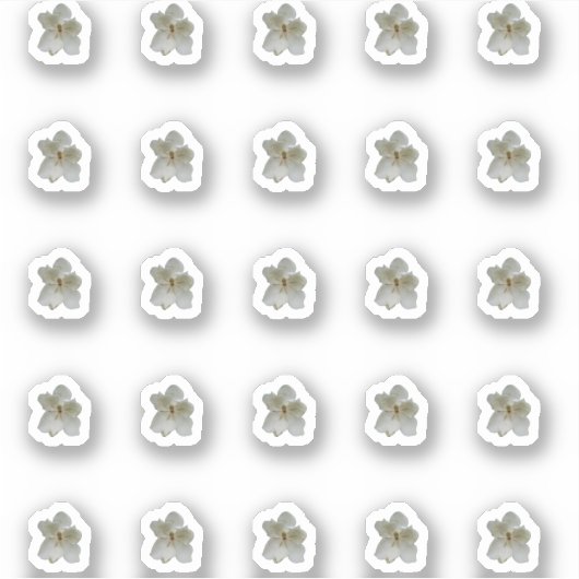 Witte Magnolia Contour Stickers (Voorkant)