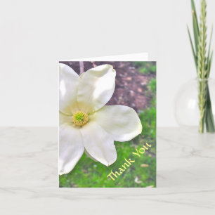 WITTE MAGNOLIA/DANK U/FOTO./ TEKST BEDANKKAART