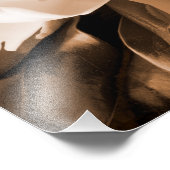 Witte Magnolia Flower Black Achtergrond Foto Afdruk (Hoek)