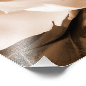 Witte Magnolia Flower Black Achtergrond Foto Afdruk (Hoek)