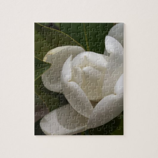 witte magnolia flower buis legpuzzel (Verticaal)