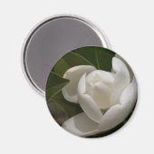 witte magnolia flower buis magneet (Voorkant / Achterkant)