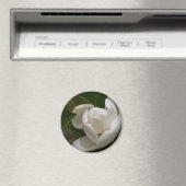 witte magnolia flower buis magneet (Insitu (Vaatwasser))