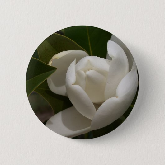 witte magnolia flower buis ronde button 5,7 cm (Voorkant)