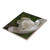 witte magnolia flower buis tegeltje (Zijkant)