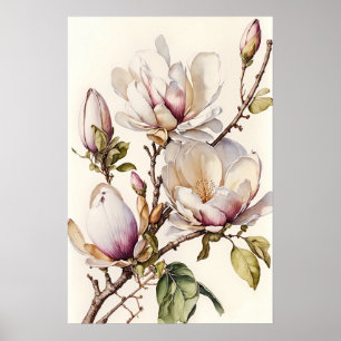 Witte Magnolia Flowers Art Print Poster