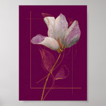 Witte Magnolia Gouden Lijn Magenta