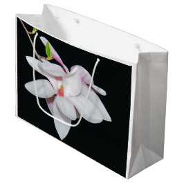 Witte Magnolia Groot Cadeauzakje