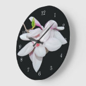 Witte Magnolia Grote Klok (Hoek)