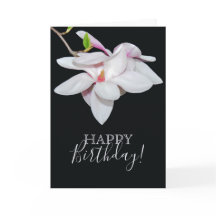 Witte Magnolia