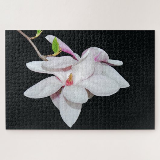 Witte Magnolia Legpuzzel (Horizontaal)
