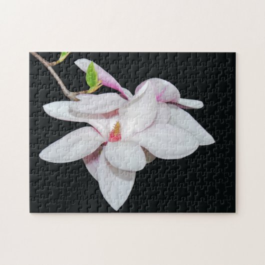 Witte Magnolia Legpuzzel (Horizontaal)