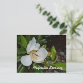 Witte Magnolia Louisiana State Bloem Fotografisch Briefkaart (Staand voorkant)