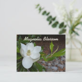 Witte Magnolia Louisiana State Bloem Fotografisch Briefkaart (Staand voorkant)