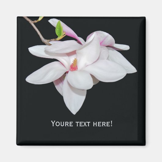 Witte Magnolia Magneet (Voorkant)