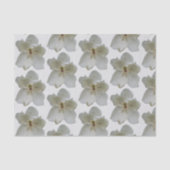 Witte Magnolia op tissuepapier (Voorkant)