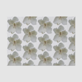 Witte Magnolia op tissuepapier