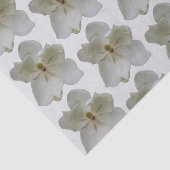 Witte Magnolia op tissuepapier (Detail)