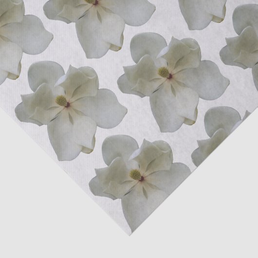 Witte Magnolia op tissuepapier (Detail)