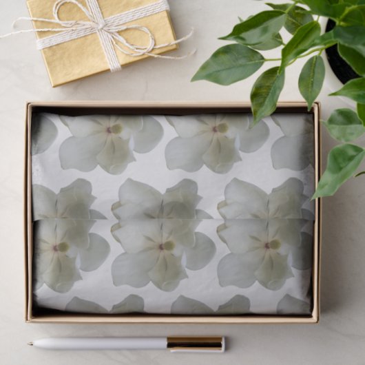 Witte Magnolia op tissuepapier (Geschenk)
