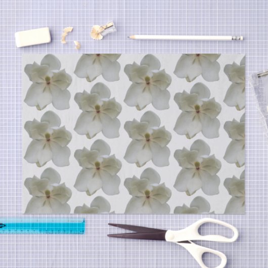 Witte Magnolia op tissuepapier (Craft)
