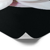 Witte Magnolia Poster (Hoek)