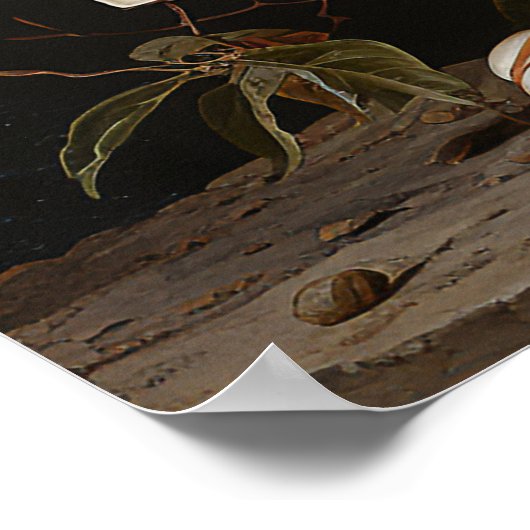 Witte magnolia tak met bloesem poster (Hoek)