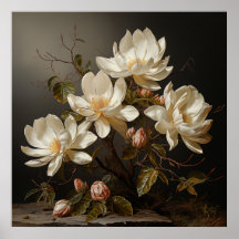 Witte magnolia tak met bloesem
