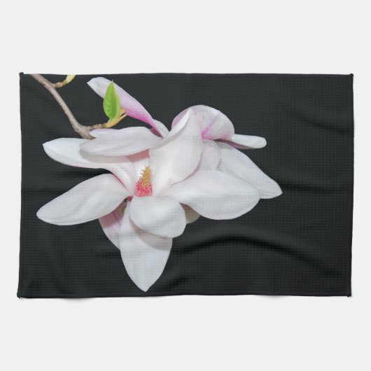 Witte Magnolia Theedoek (Horizontaal)