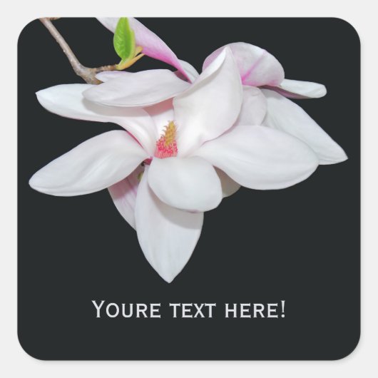 Witte Magnolia Vierkante Sticker (Voorkant)