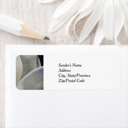 Witte Magnolia Wedding Retour Adreslabels Etiket (Insitu)