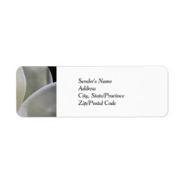 Witte Magnolia Wedding Retour Adreslabels Etiket