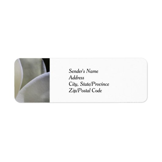 Witte Magnolia Wedding Retour Adreslabels Etiket (Voorkant)
