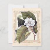 Witte Magnolia Zuidelijke Trouw Save the Date (Voorkant)