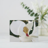 Witte magnoliaanse bloesbloem dicht bij elkaar briefkaart (Staand voorkant)