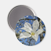 Witte Magnolievloer in de boom. Magneet (Voorkant / Achterkant)