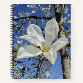 Witte Magnolievloer in de boom. Notitieboek