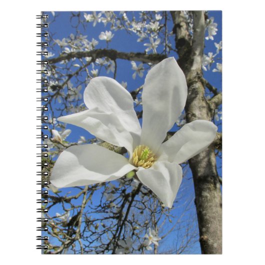 Witte Magnolievloer in de boom. Notitieboek (Voorkant)