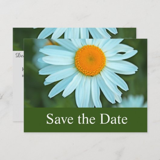  witte maisachtige bloemen, met uitzondering van d aankondigingskaart (Voorkant / Achterkant)