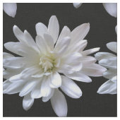 Witte maisachtige witte bloemen stof (Close Up)