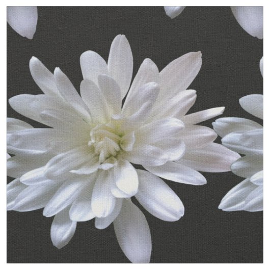 Witte maisachtige witte bloemen stof (Close Up)