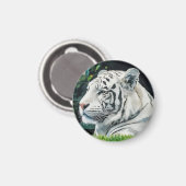 Witte Majesteit - Resting Tiger Wildlife Magneet (Voorkant / Achterkant)