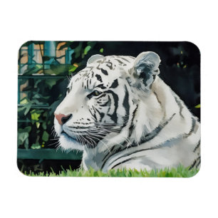 Witte Majesteit - Resting Tiger Wildlife Magneet